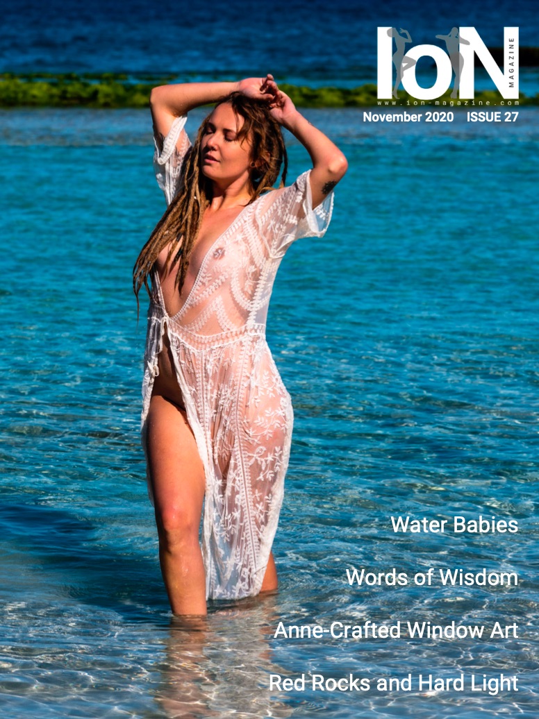 ION Magazine Cover - Issue 27 - November 2020