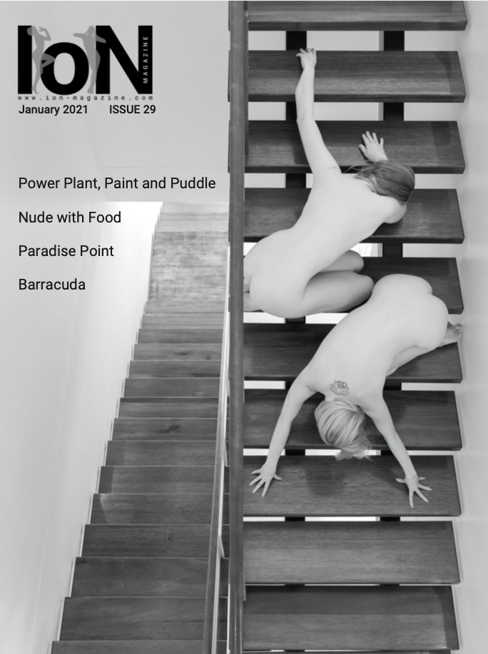 ION Magazine Cover - Isue 29 - January 2021