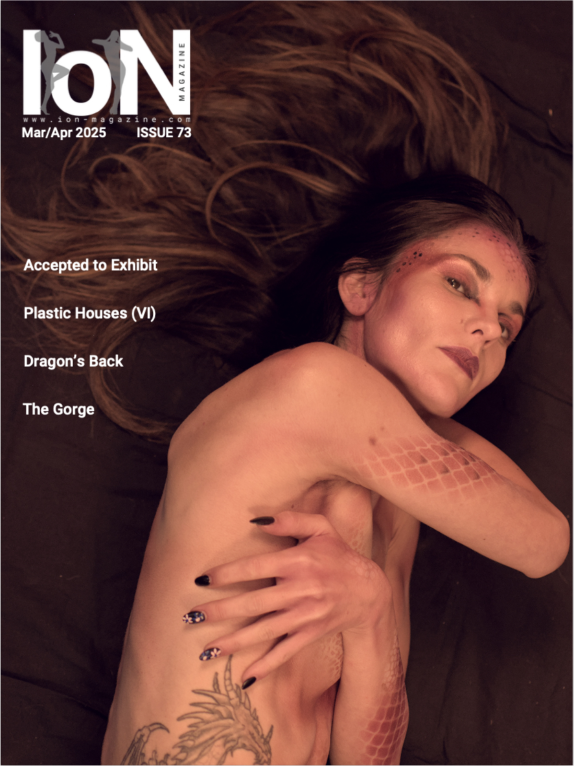 ION Magazive Cover Issue 73